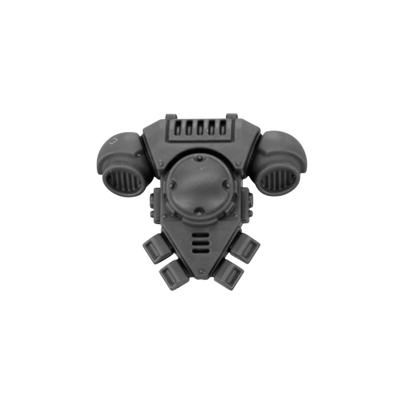 Pack Dorsal D Pack Dorsal D