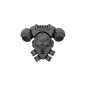 Pack Dorsal D Pack Dorsal D
