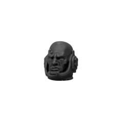 Terminator Head without Helmet E