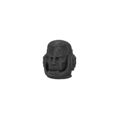 Terminator Head without Helmet D