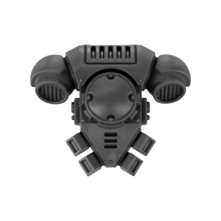 Pack Dorsal B