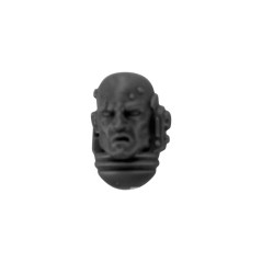 Veteran Head without Helmet D