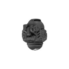 Veteran Head F
