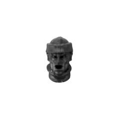 Injured Head A