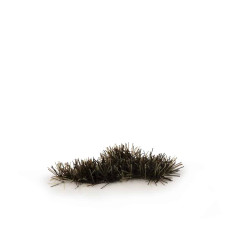 Burned (2mm)