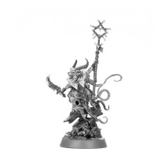 Grey Seer