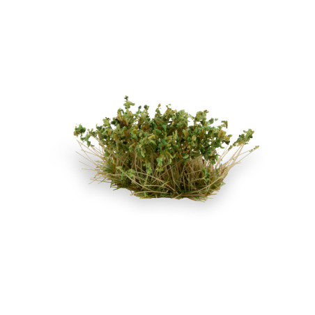 Strong Green Shrubs