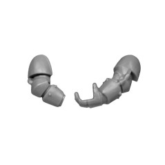 Paire de Bras A bitz vétérans d'appui Space Marines Warhammer 40k