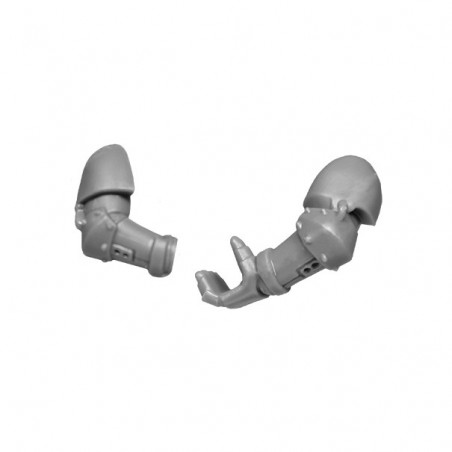 Paire de Bras E bitz vétérans d'appui Space Marines Warhammer 40k