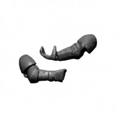 Pair of arms 2 Warhammer 40k Space Marines Command Squad bitz