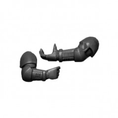 Pair of arms 3 Warhammer 40k Space Marines Command Squad bitz