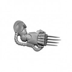 Lightning Claw Left B