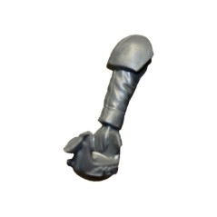 Bras droit Cadien avec casque