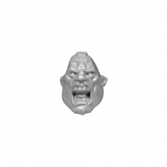 Ogryns Head D Bullgryns & Ogryns Warhammer 40k bitz