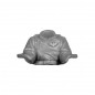 Torse capitaine de char