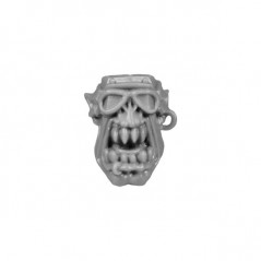 Head Z bitz Stormboyz Orks Wh40k