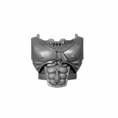 Torso B Blood Angel upgrade pack