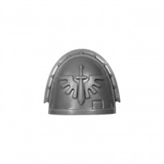 Shoulder Pad E Dark Angel upgrade pack