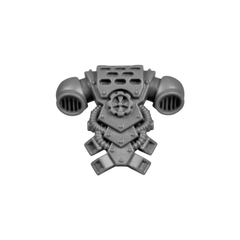 Pack Dorsal C Pack Dorsal C