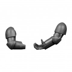 Pair of Arms C