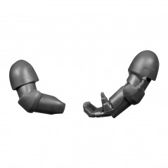 Pair of Arms D