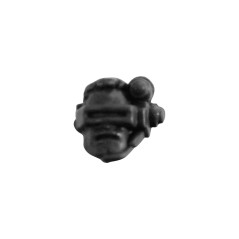 Head F
