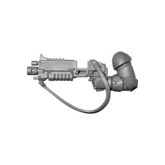 Bolt Rifle F