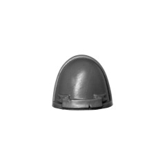 Shoulder Pad C