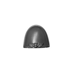 Shoulder Pad F