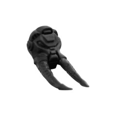 Head H