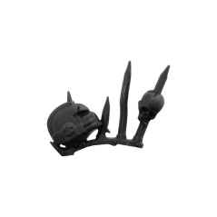 Trophy E