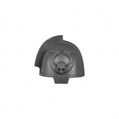 Shoulder Pad A
