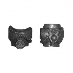 Torso C