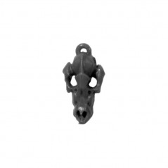 Wolf's Skull