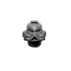 Head E
