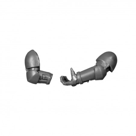 Paire de Bras A bitz Blood Angels Warhammer 40k