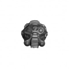 Head H