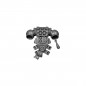 Pack Dorsal F Pack Dorsal F