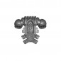 Pack Dorsal C Pack Dorsal C