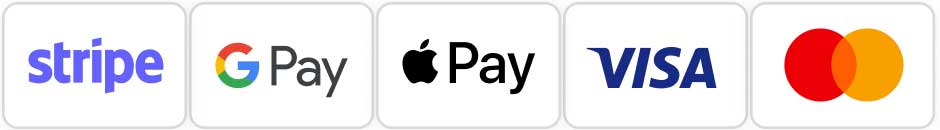 Payment logo on Bitz Store